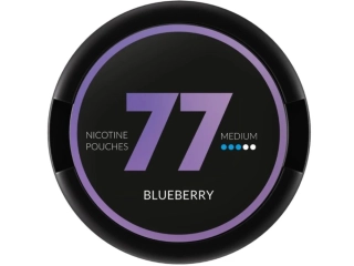 77 POUCHES - Medium Blueberry